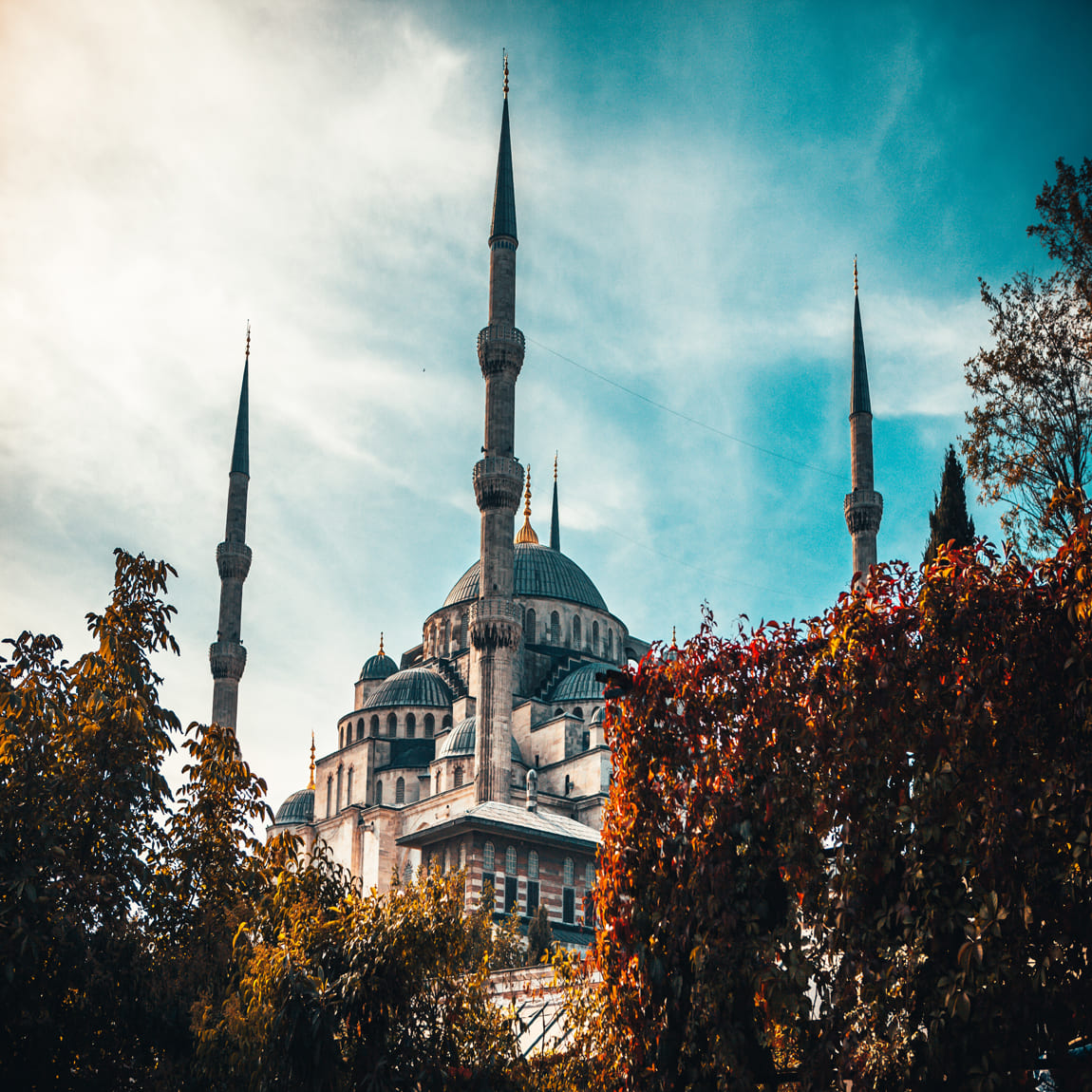 تركيا (3)